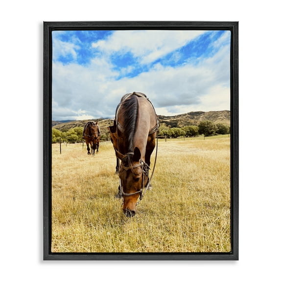 Stupell Industries Grazing Horses Pasture Animals Photography Black Floater Framed Canvas Art Print Wall Art, 17 x 21
