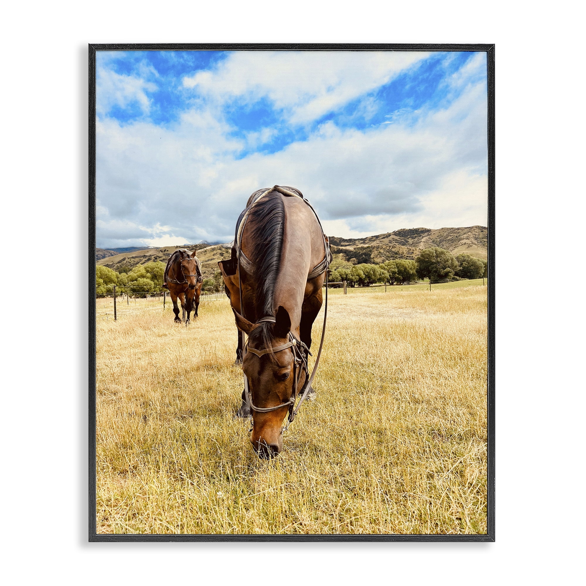 Stupell Industries Grazing Horses Pasture Animals Photography Black Framed Art Print Wall Art, 11 x 14