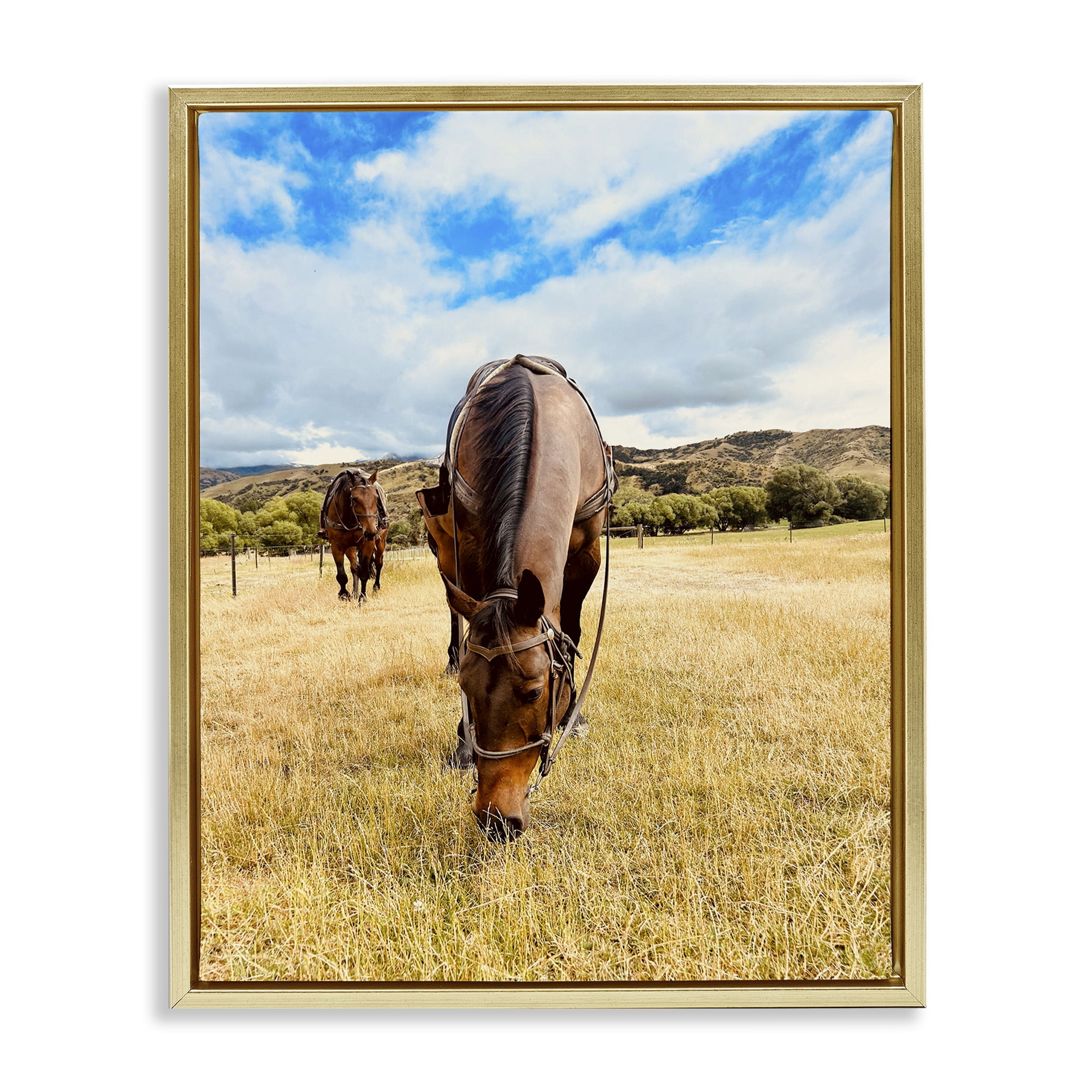 Stupell Industries Grazing Horses Pasture Animals Photography Gold Floater Framed Canvas Art Print Wall Art, 17 x 21