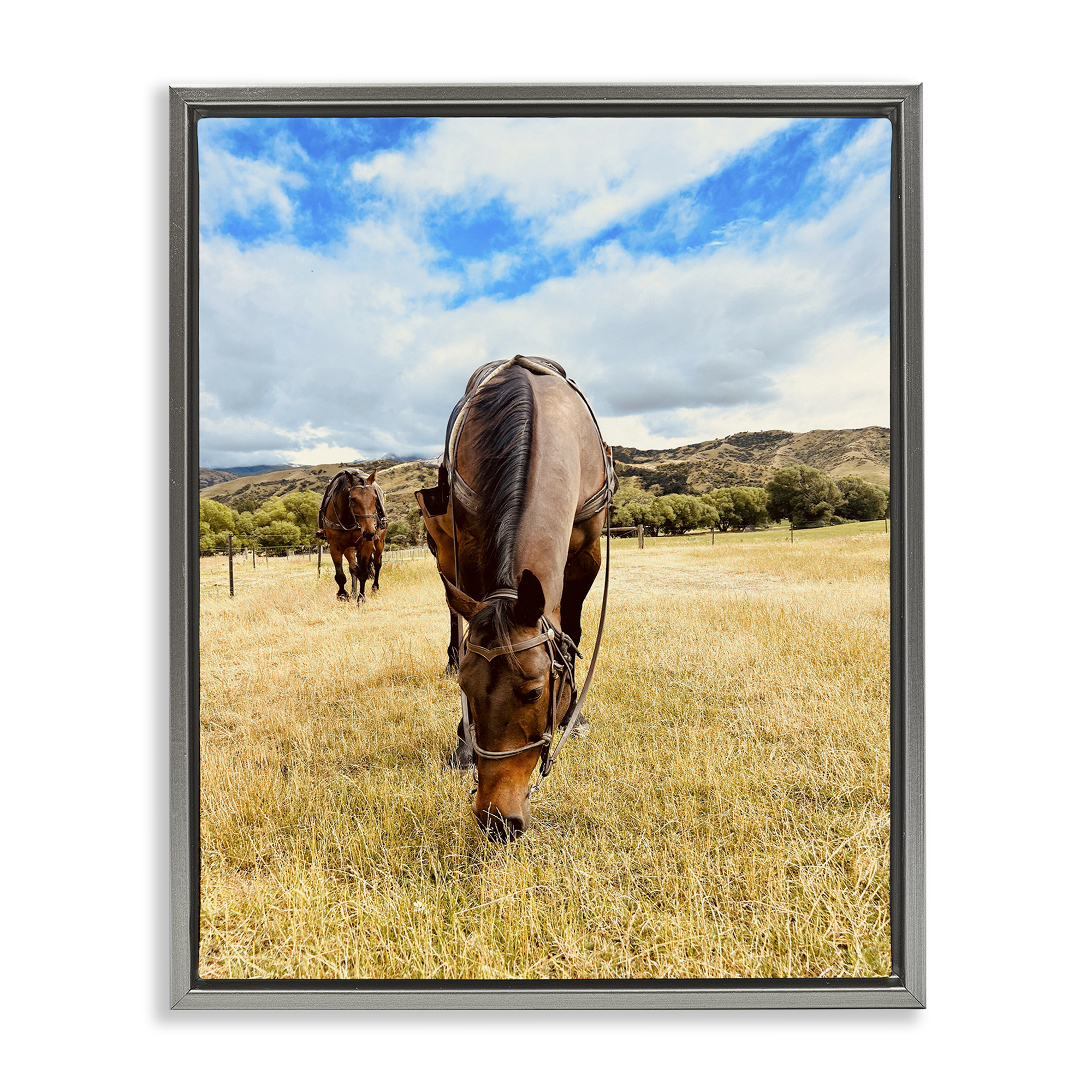 Stupell Industries Grazing Horses Pasture Animals Photography Gray Floater Framed Canvas Art Print Wall Art, 25 x 31
