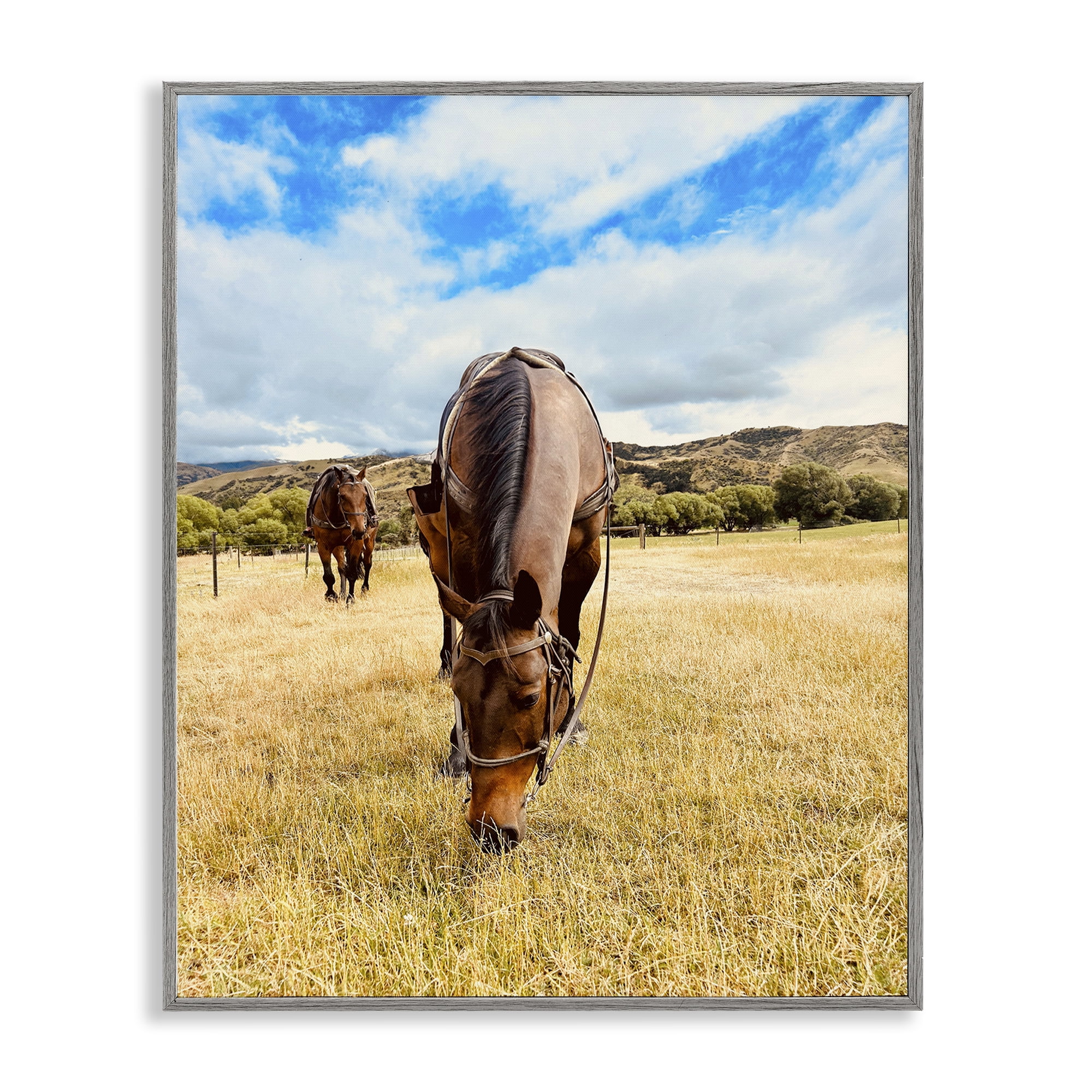 Stupell Industries Grazing Horses Pasture Animals Photography Gray Framed Art Print Wall Art, 16 x 20