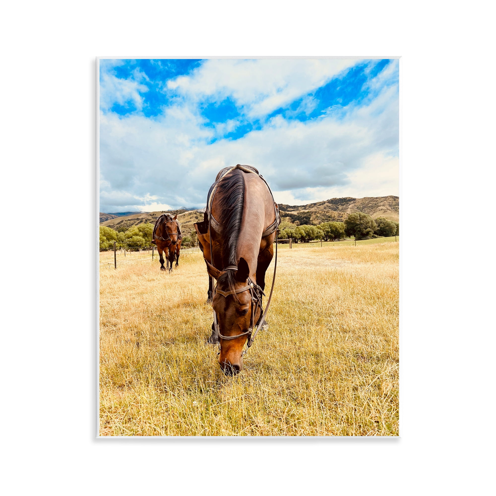 Stupell Industries Grazing Horses Pasture Animals Photography Unframed Art Print Wall Art, 11 x 14