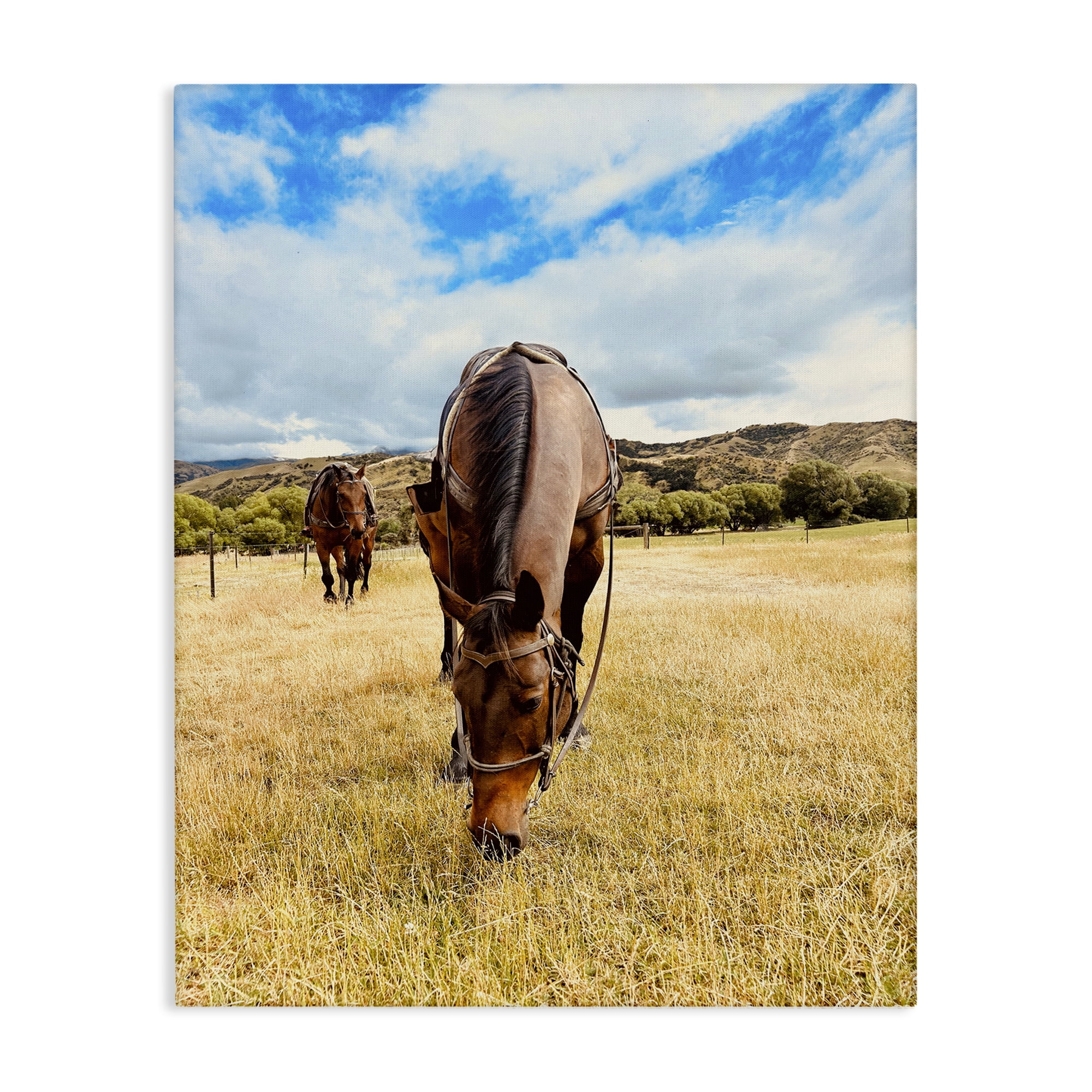 Stupell Industries Grazing Horses Pasture Animals Photography Wrapped Canvas Art Print Wall Art, 24 x 30