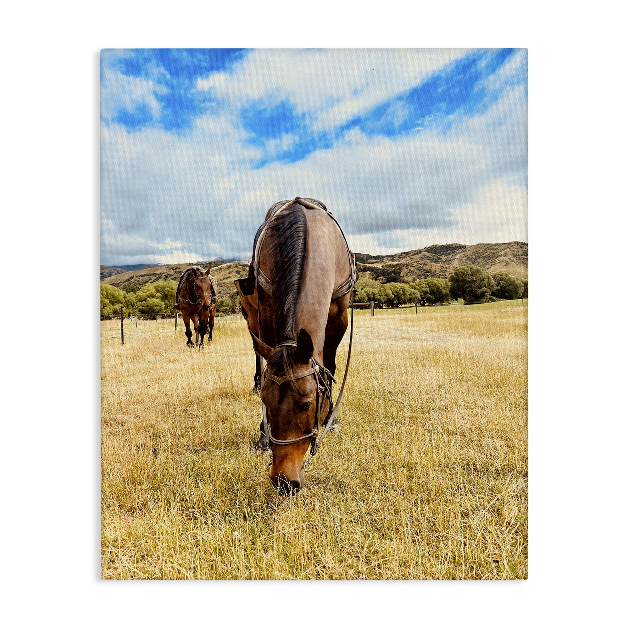 Stupell Industries Grazing Horses Pasture Animals Photography Wrapped Canvas Art Print Wall Art, 30 x 40