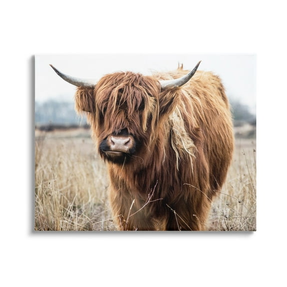 Stupell Industries Grazing Longhorn Cattle Farmland Animal Portrait Canvas Wall Art, 30 x 24, Design by Amy Brinkman