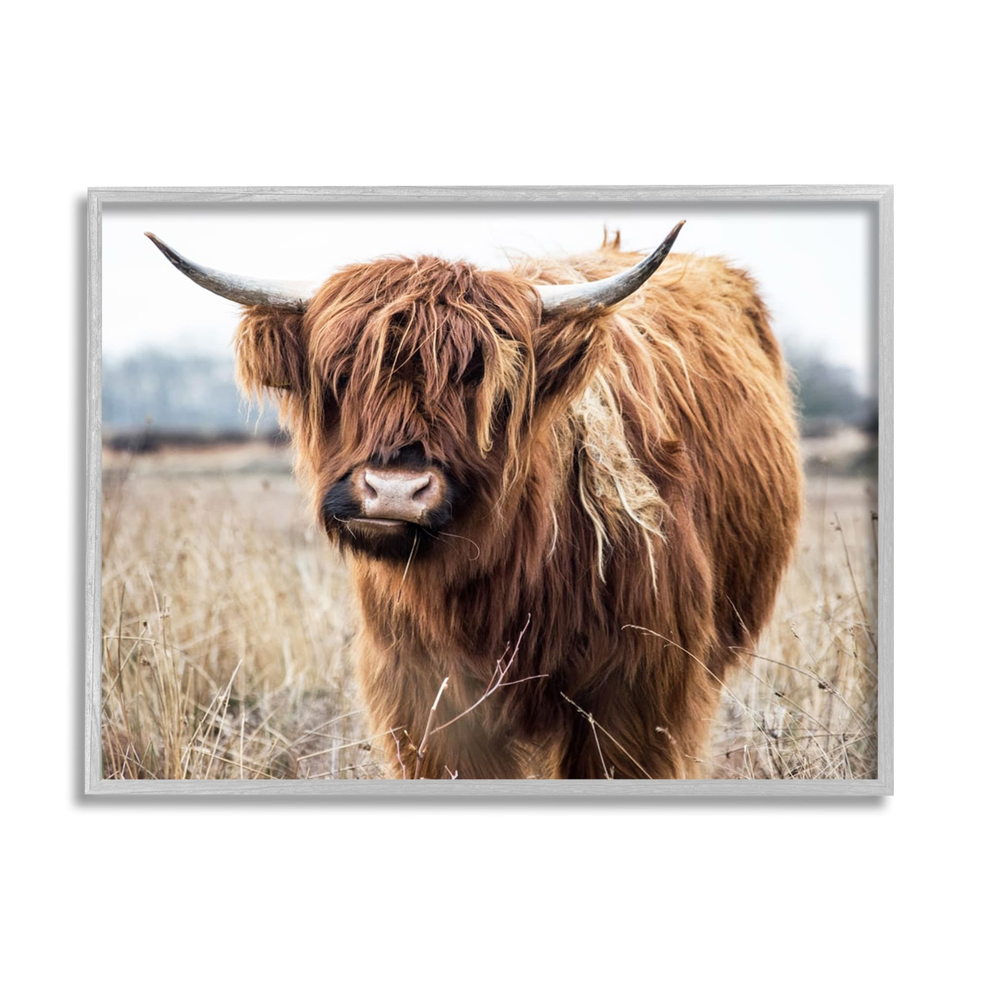 Stupell Industries Grazing Longhorn Cattle Farmland Animal Portrait Framed Wall Art, 20 x 16, Design by Amy Brinkman