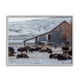 thumbnail image 1 of Stupell Industries Grazing Rural Bison Snowy Farmland Barn Scenery Photograph Gray Framed Art Print Wall Art, Design by Jeff Poe Photography, 1 of 7