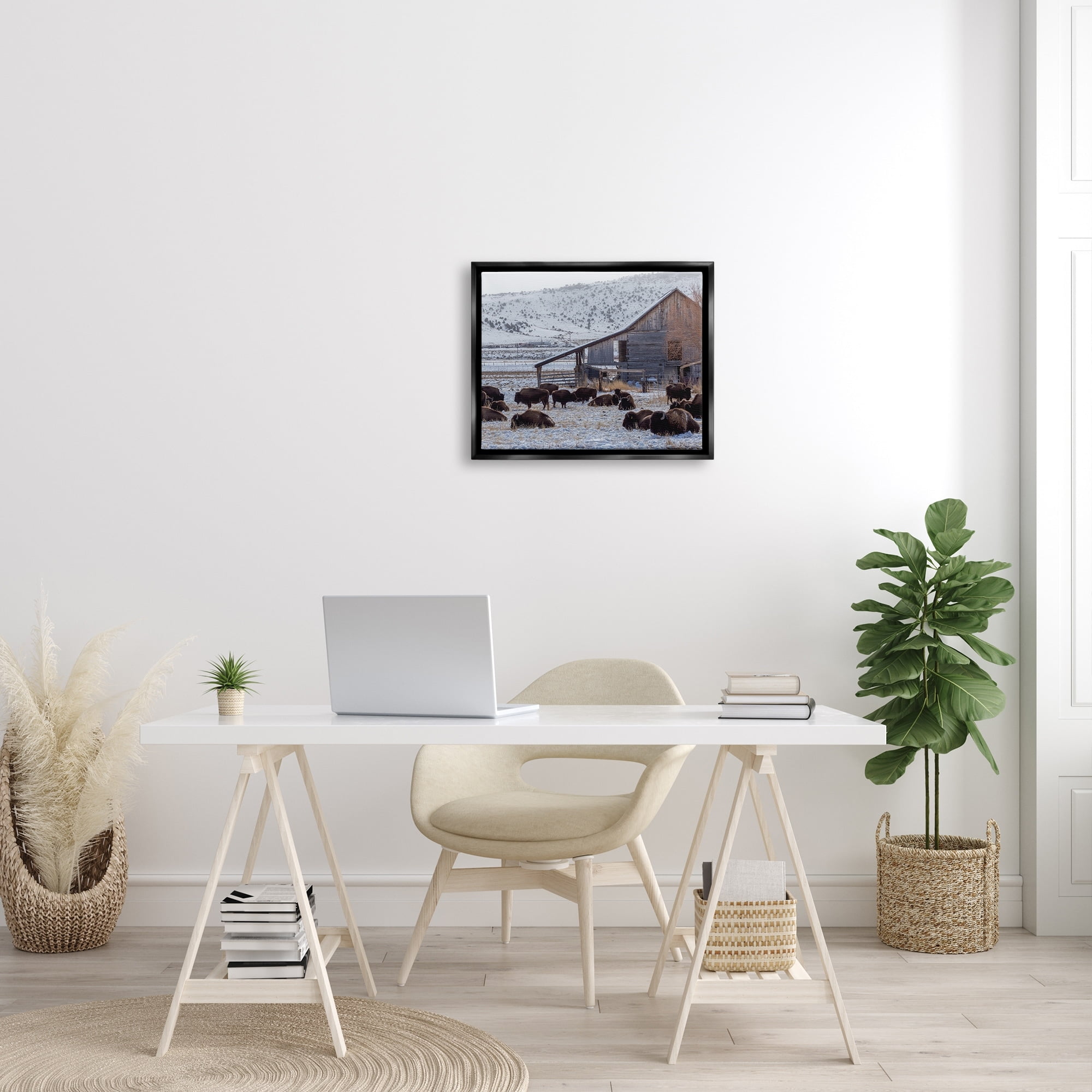 Stupell Industries Grazing Rural Bison Snowy Farmland Barn Scenery Photograph Jet Black Floating Framed Canvas Print Wall Art, Design by Jeff Poe Photography