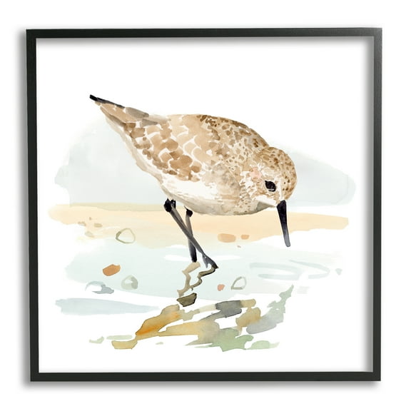 Stupell Industries Grazing Sandpiper Shoreline Animals & Insects Painting Black Framed Art Print Wall Art, 12 x 12