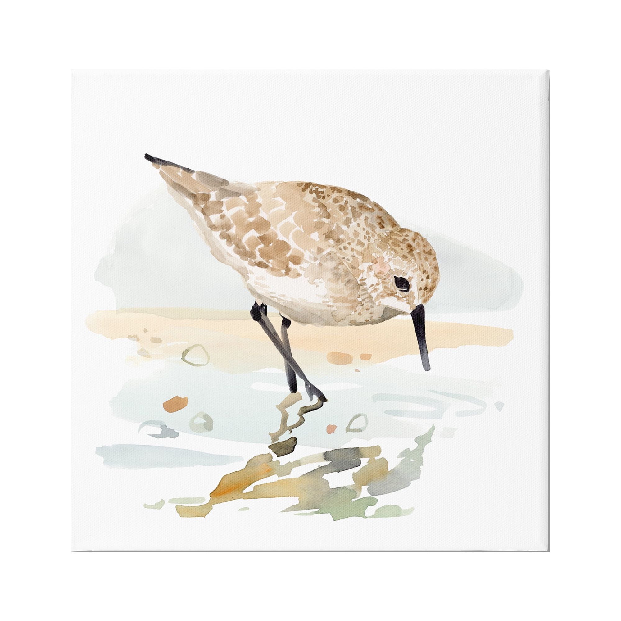 Stupell Industries Grazing Sandpiper Shoreline Animals & Insects Painting Gallery Wrapped Canvas Art Print Wall Art, 17 x 17
