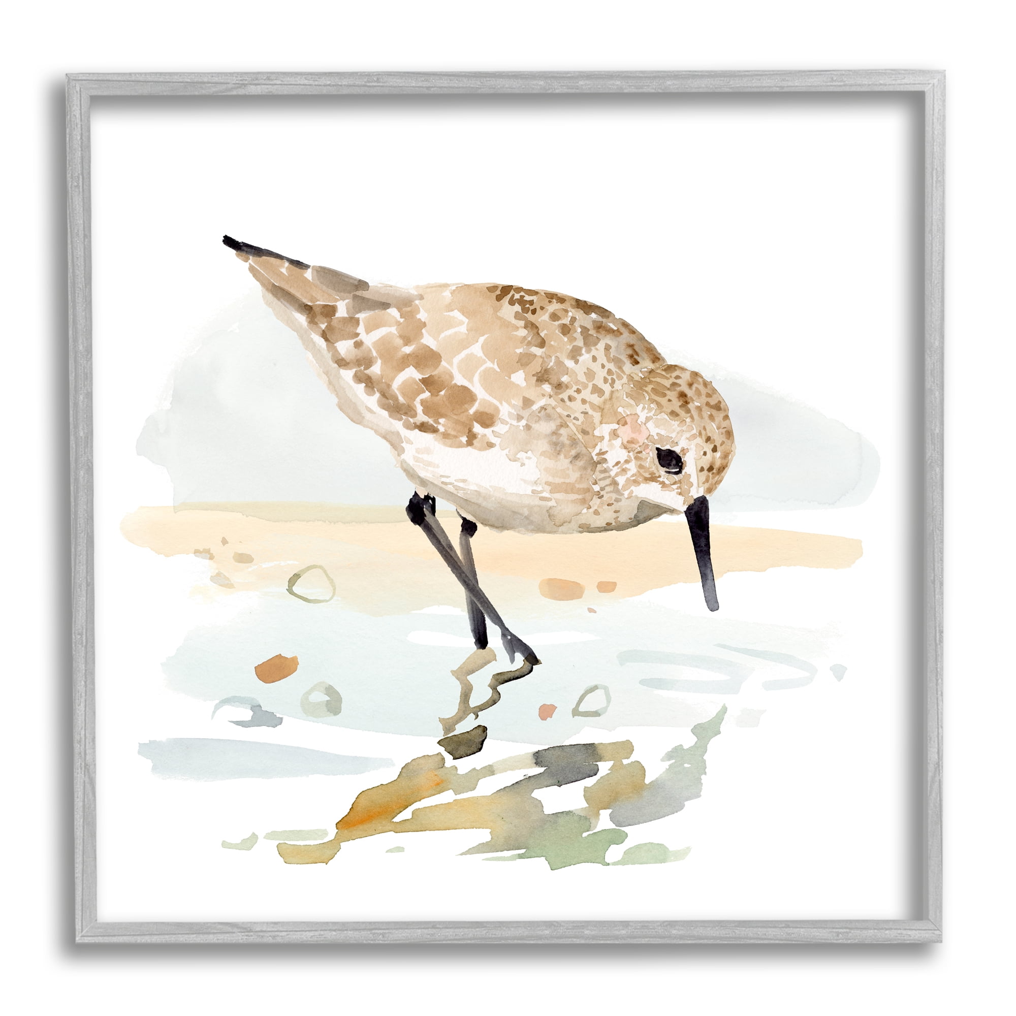 Stupell Industries Grazing Sandpiper Shoreline Animals & Insects Painting Gray Framed Art Print Wall Art, 12 x 12