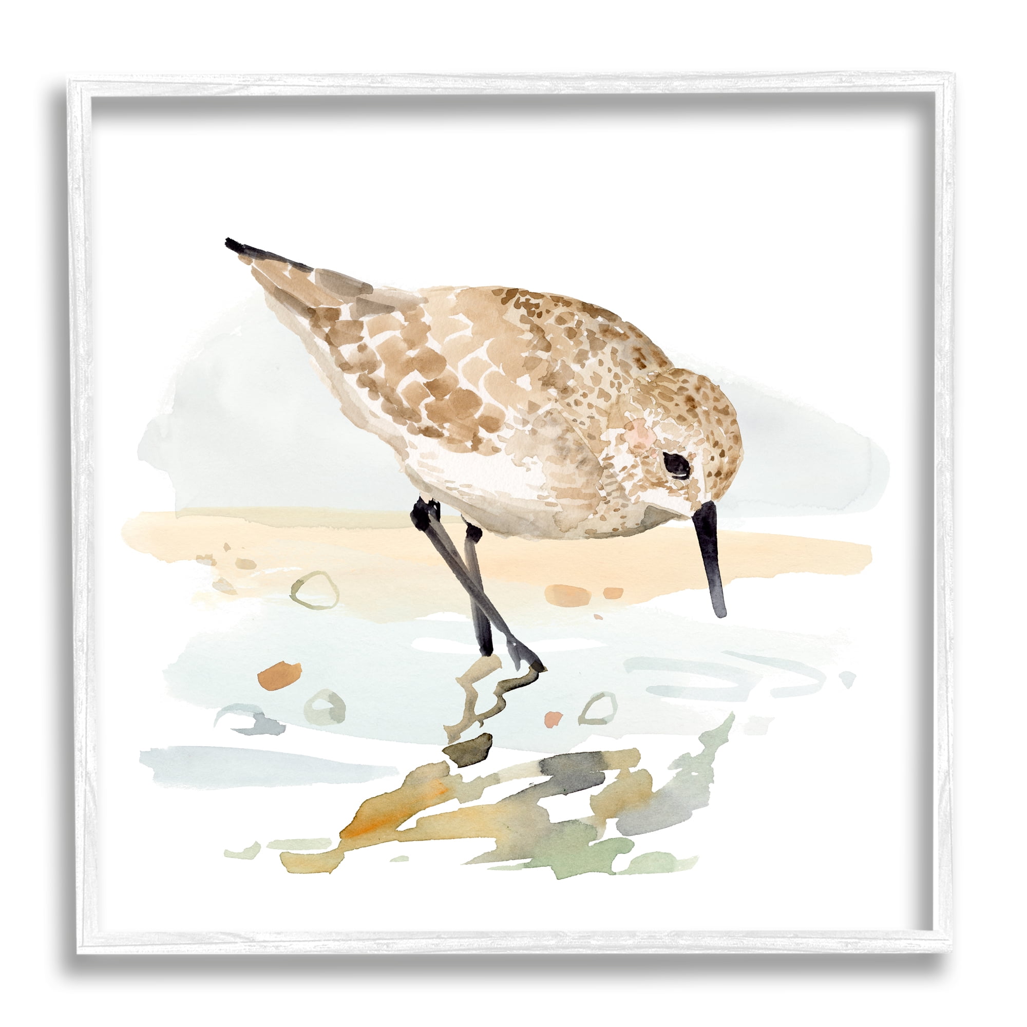 Stupell Industries Grazing Sandpiper Shoreline Animals & Insects Painting White Framed Art Print Wall Art, 17 x 17