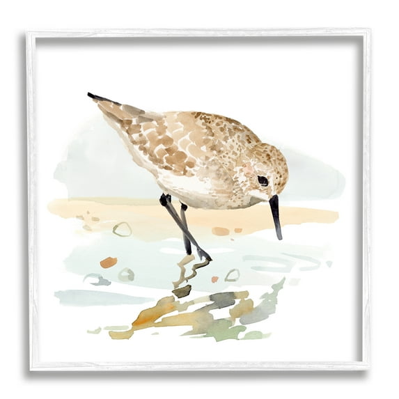 Stupell Industries Grazing Sandpiper Shoreline Animals & Insects Painting White Framed Art Print Wall Art, 24 x 24