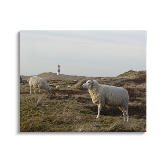 Stupell Industries Grazing Sheep Peaceful Grassland Hills Distant Lighthouse Photograph Gallery Wrapped Canvas Print Wall Art, Design by Daphne Polselli