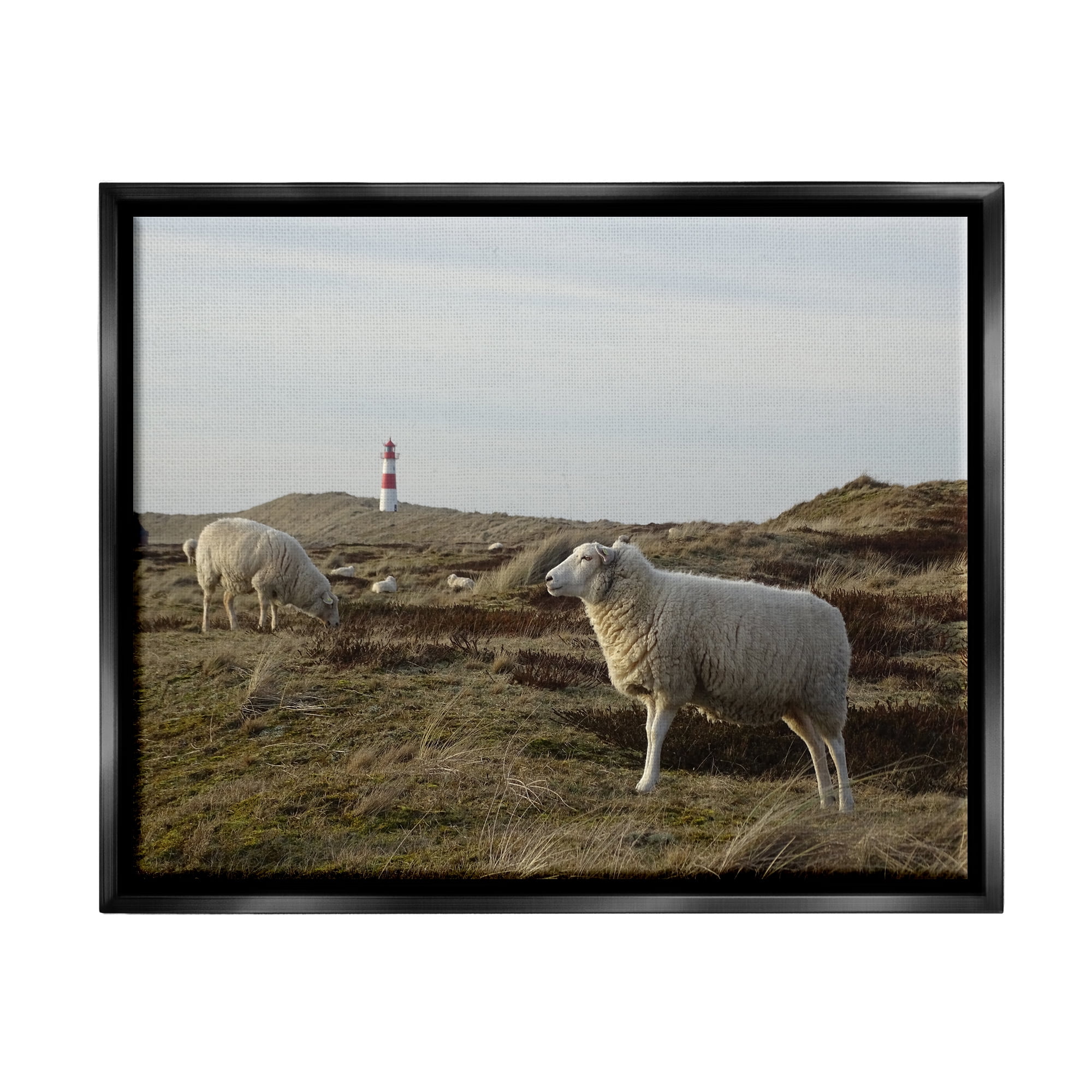 Stupell Industries Grazing Sheep Peaceful Grassland Hills Distant Lighthouse Photograph Jet Black Floating Framed Canvas Print Wall Art, Design by Daphne Polselli