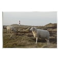 thumbnail image 1 of Stupell Industries Grazing Sheep Peaceful Grassland Hills Distant Lighthouse Photograph Unframed Art Print Wall Art, Design by Daphne Polselli, 1 of 5
