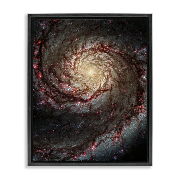 Stupell Industries Great Beyond Nebula Animals & Insects Photography Black Floater Framed Art Print Wall Art, 17 x 21