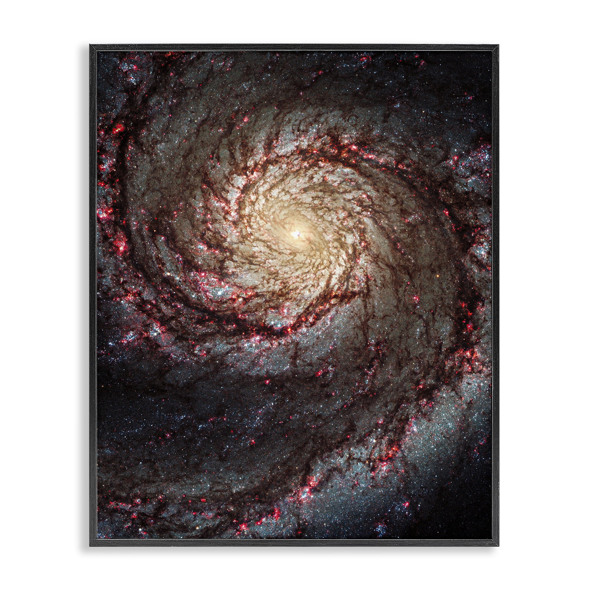 Stupell Industries Great Beyond Nebula Animals & Insects Photography Black Framed Art Print Wall Art, 24 x 30
