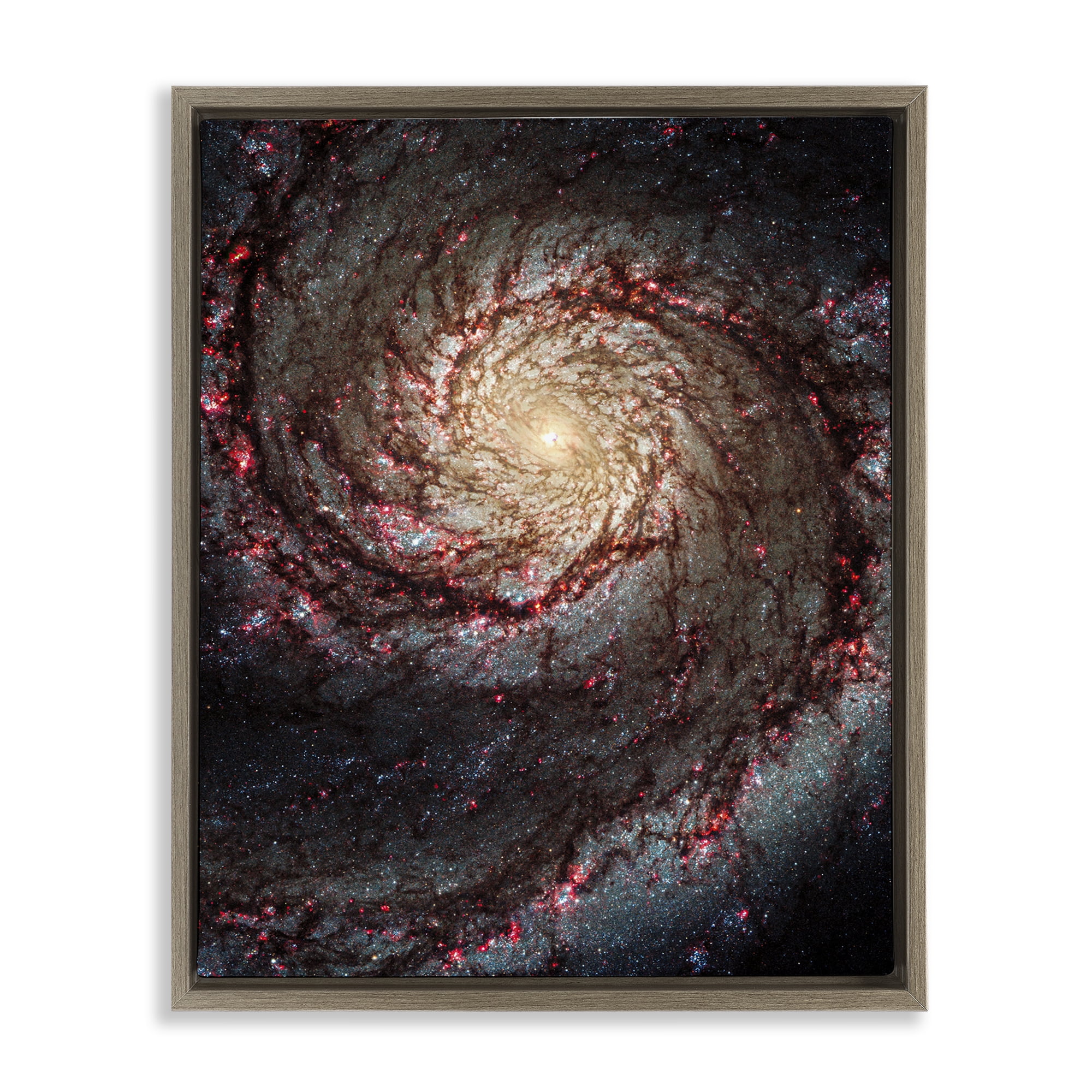 Stupell Industries Great Beyond Nebula Animals & Insects Photography Brown Floater Framed Art Print Wall Art, 25 x 31