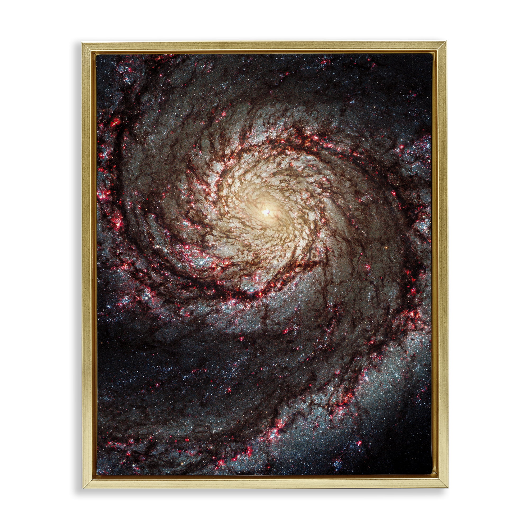 Stupell Industries Great Beyond Nebula Animals & Insects Photography Gold Floater Framed Art Print Wall Art, 17 x 21