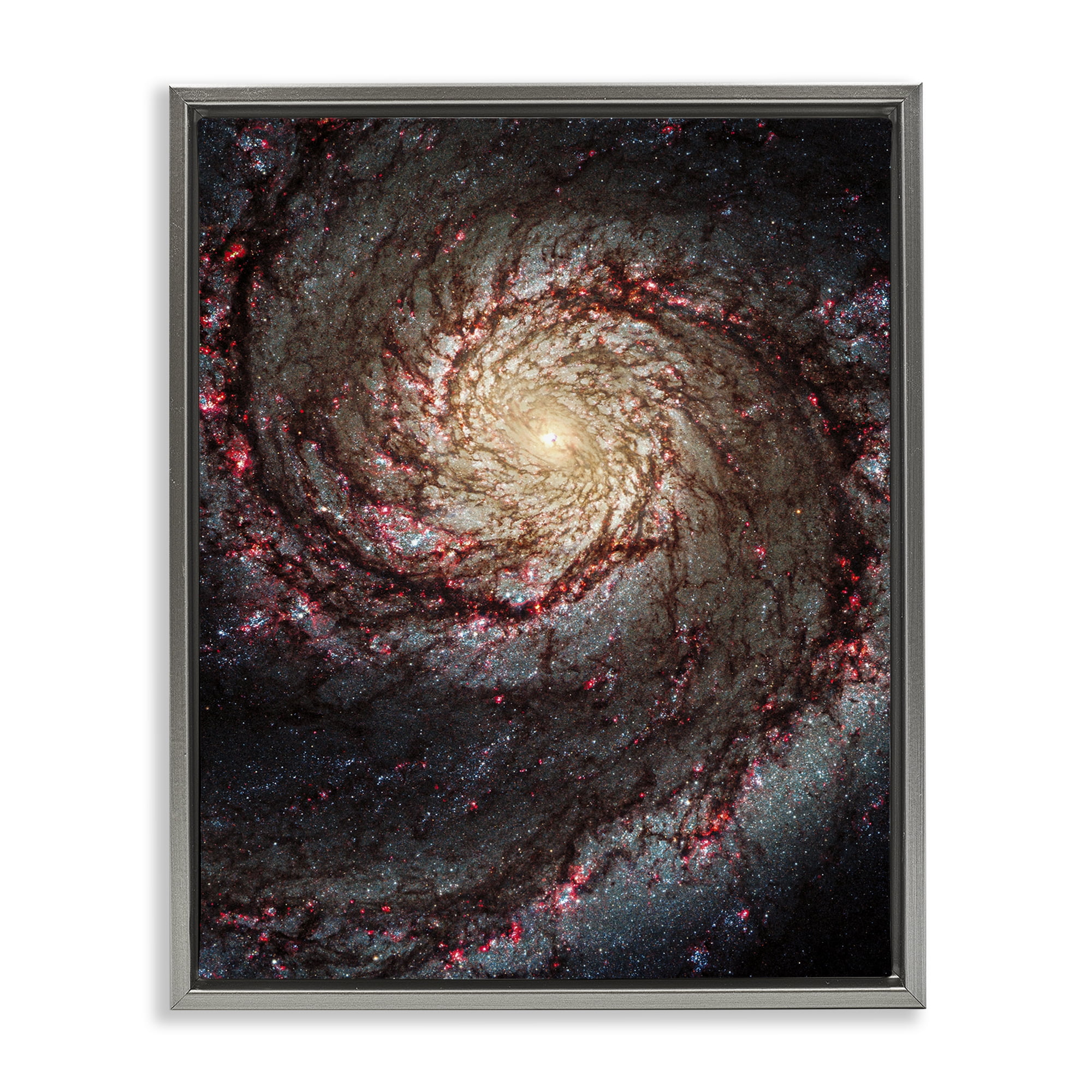 Stupell Industries Great Beyond Nebula Animals & Insects Photography Gray Floater Framed Art Print Wall Art, 17 x 21