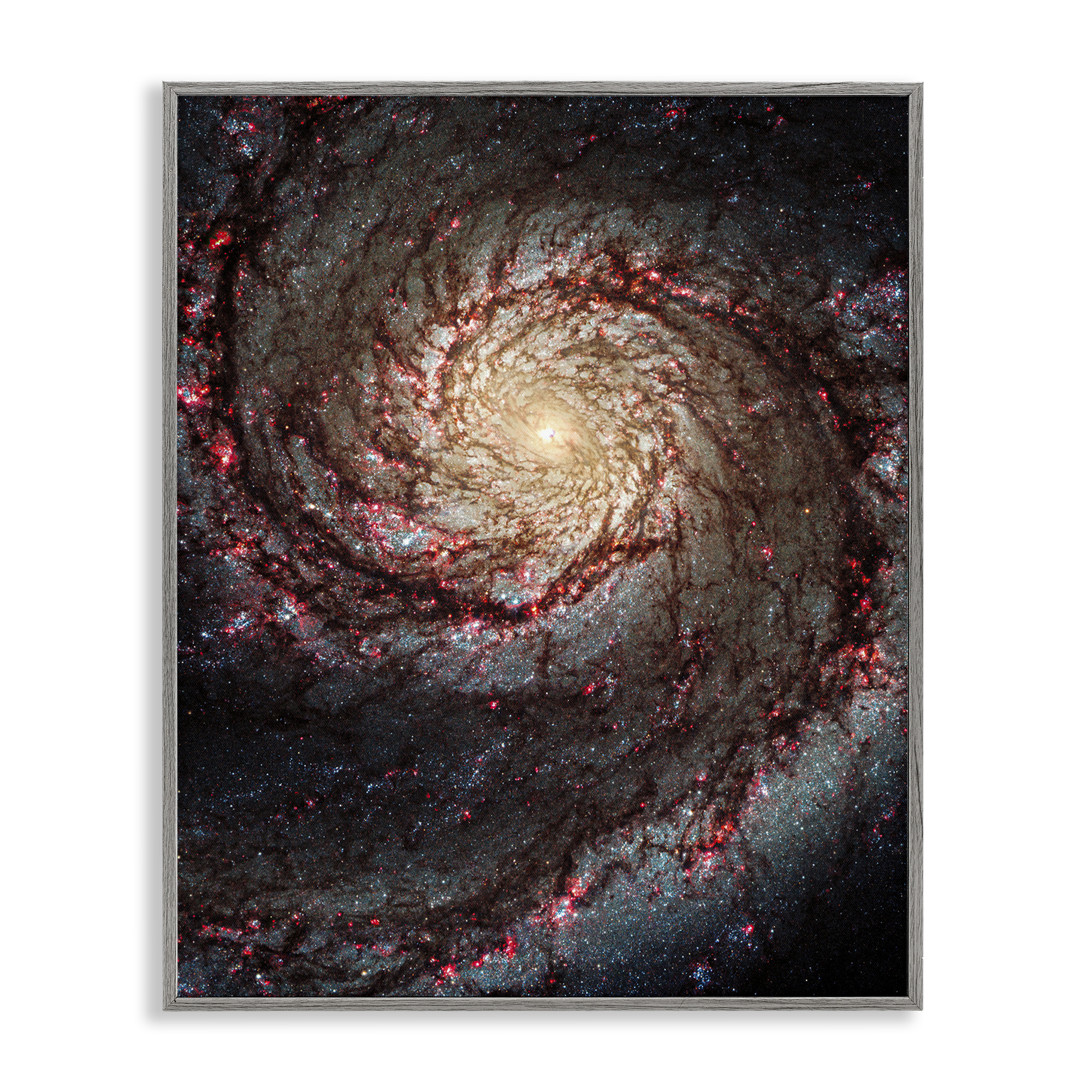 Stupell Industries Great Beyond Nebula Animals & Insects Photography Gray Framed Art Print Wall Art, 11 x 14