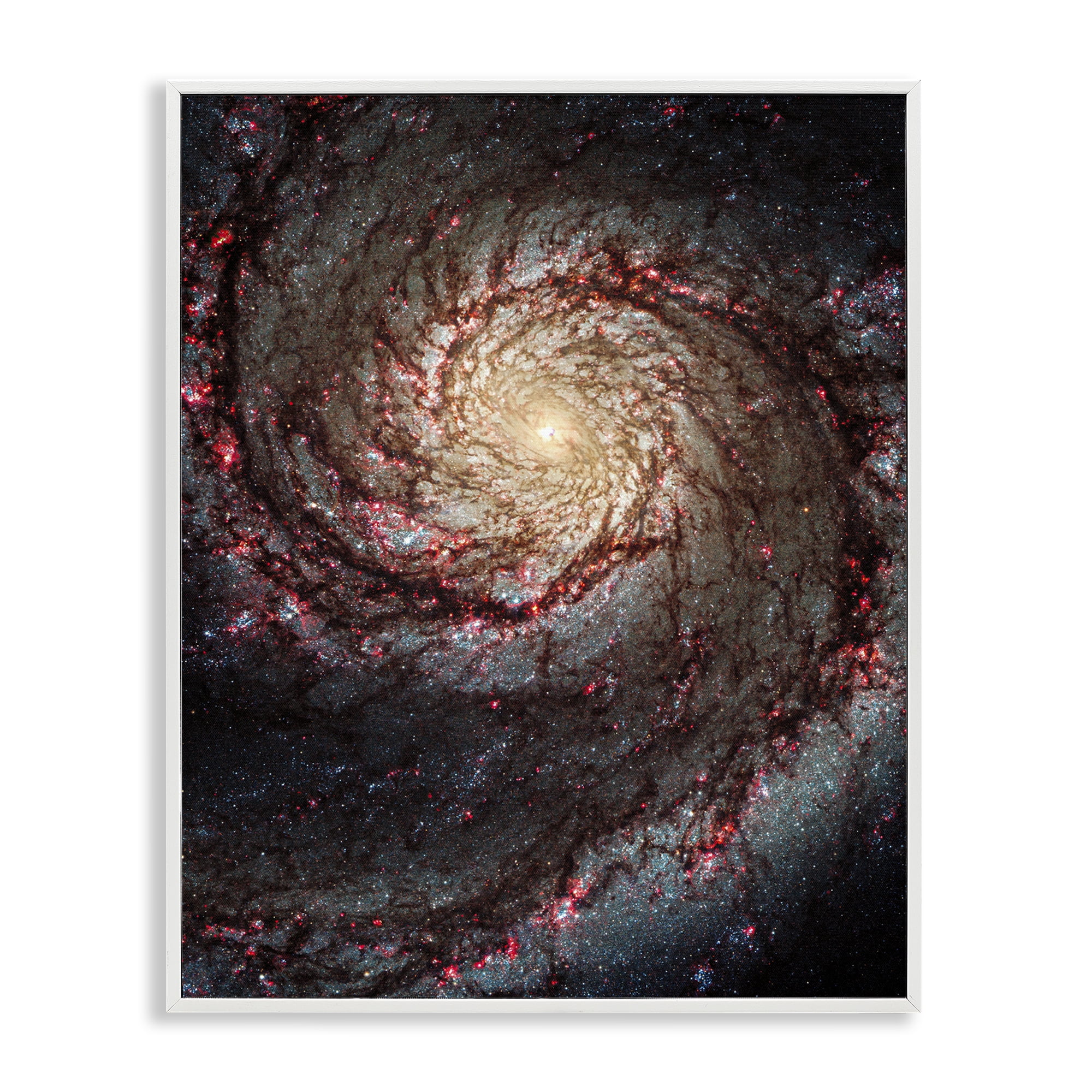 Stupell Industries Great Beyond Nebula Animals & Insects Photography White Framed Art Print Wall Art, 11 x 14
