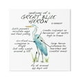 thumbnail image 1 of Stupell Industries Great Blue Heron Bird Learning Diagram Wildlife Facts Graphic Art Gallery Wrapped Canvas Print Wall Art, Design by Dishique, 1 of 7