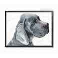 thumbnail image 1 of Stupell Industries Great Dane Dog Pet Animal Grey Watercolor Painting Framed Giclee Texturized Art by George Dyachenko, 1 of 8