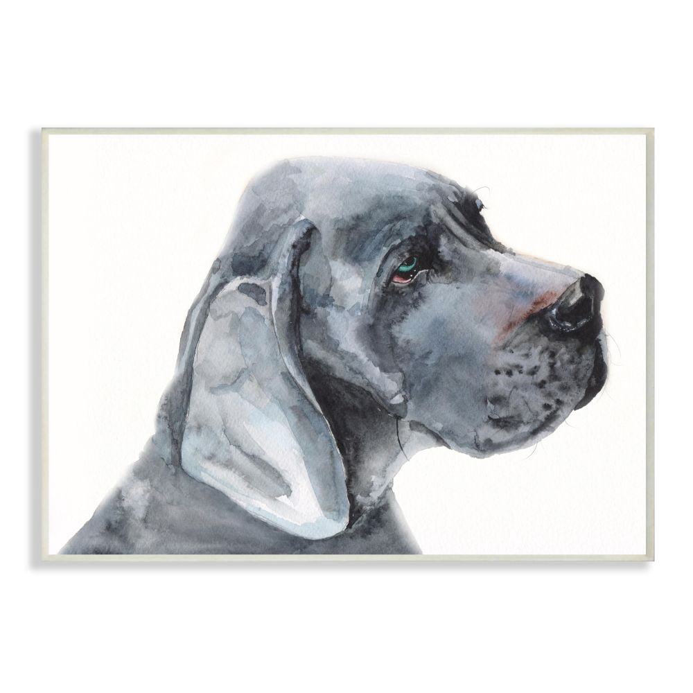 Stupell Industries Great Dane Dog Pet Animal Grey Watercolor Painting Wall Plaque Art by George Dyachenko