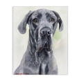 thumbnail image 1 of Stupell Industries Eclectic Great Dane Dog Pet Animal Watercolor Canvas Art, 16 x 20, by George Dyachenko, 1 of 7