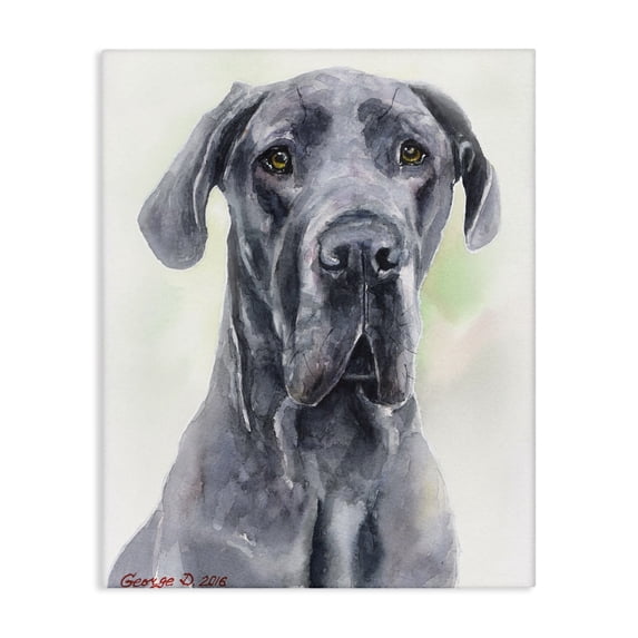Stupell Industries Eclectic Great Dane Dog Pet Animal Watercolor Canvas Art, 16 x 20, by George Dyachenko