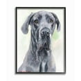 thumbnail image 1 of Stupell Industries Great Dane Dog Pet Animal Watercolor Painting Framed Giclee Texturized Art by George Dyachenko, 1 of 3