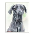 thumbnail image 1 of Stupell Industries Great Dane Dog Pet Animal Watercolor Painting Wall Plaque Art by George Dyachenko, 1 of 3
