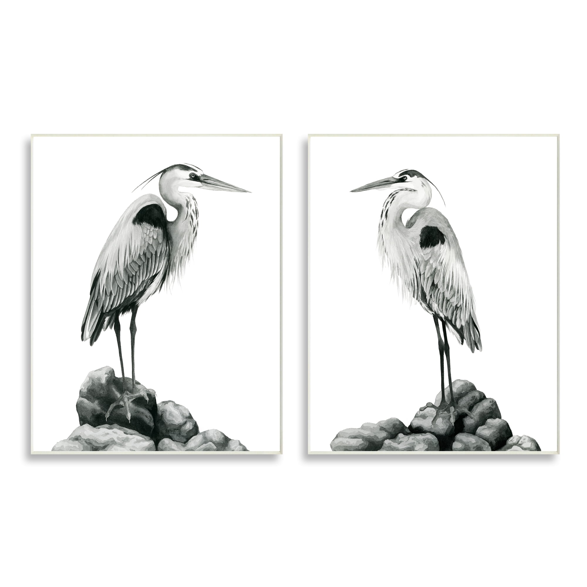 Stupell Industries Great Herons Standing Rocks Black White Bird Portraits, 10 x 15, Design by Grace Popp&nbsp;