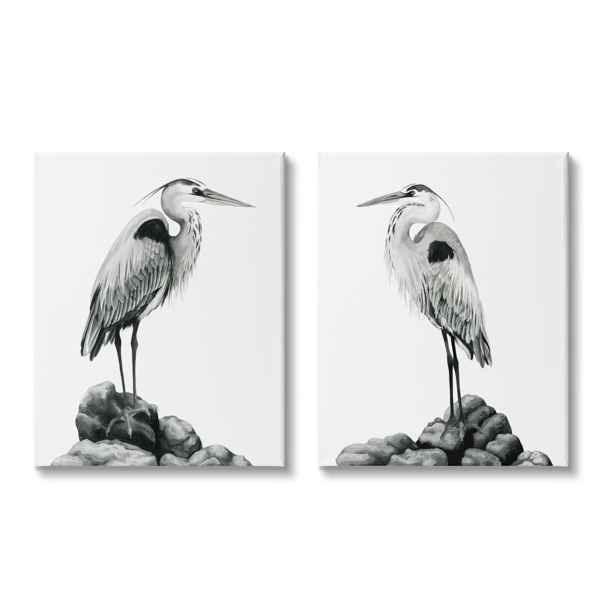 Stupell Industries Great Herons Standing Rocks Black White Bird Portraits, 16 x 20, Design by Grace Popp&nbsp;