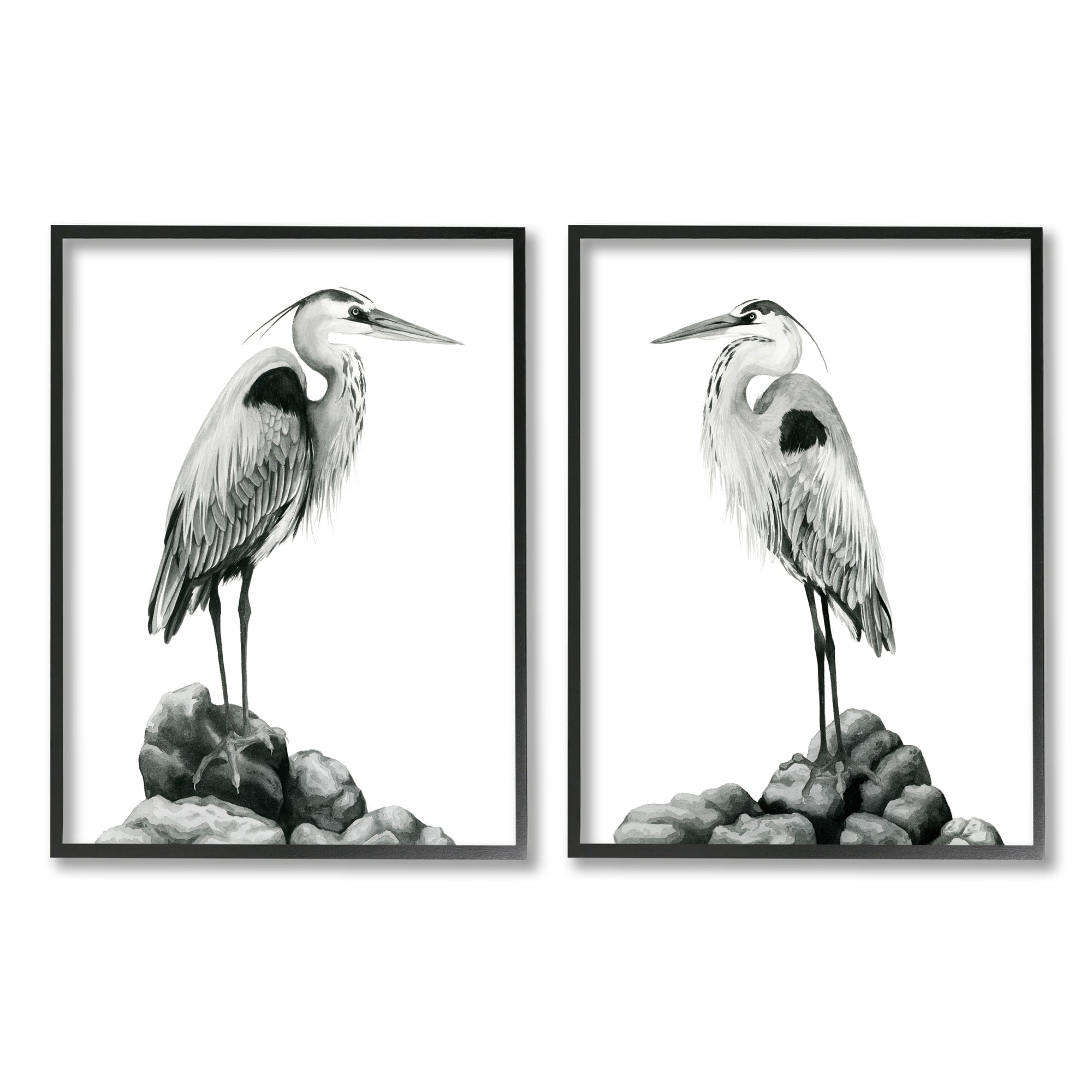 Stupell Industries Great Herons Standing Rocks Black White Bird Portraits, 24 x 30, Design by Grace Popp&nbsp;
