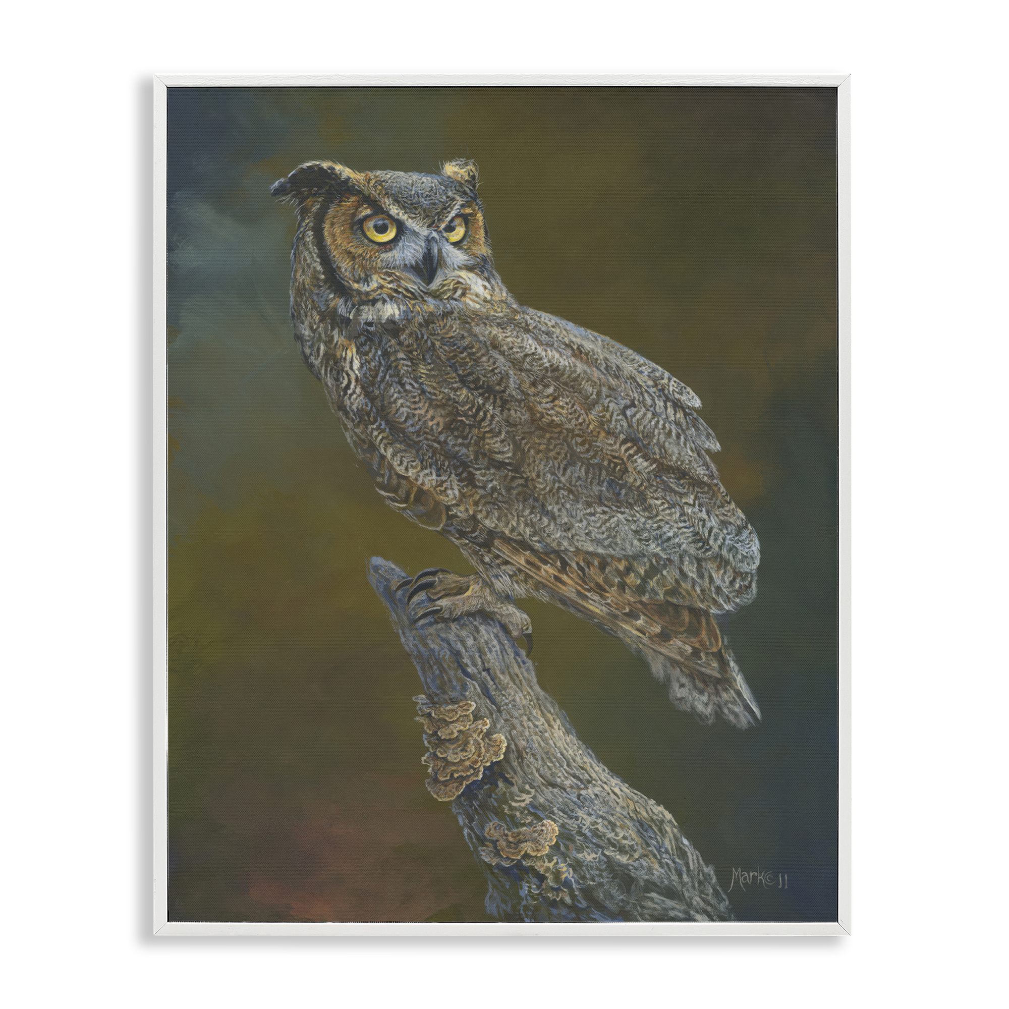 Stupell Industries Great Horned Owl on Branch Animals Painting White Framed Art Print Wall Art, 16 x 20