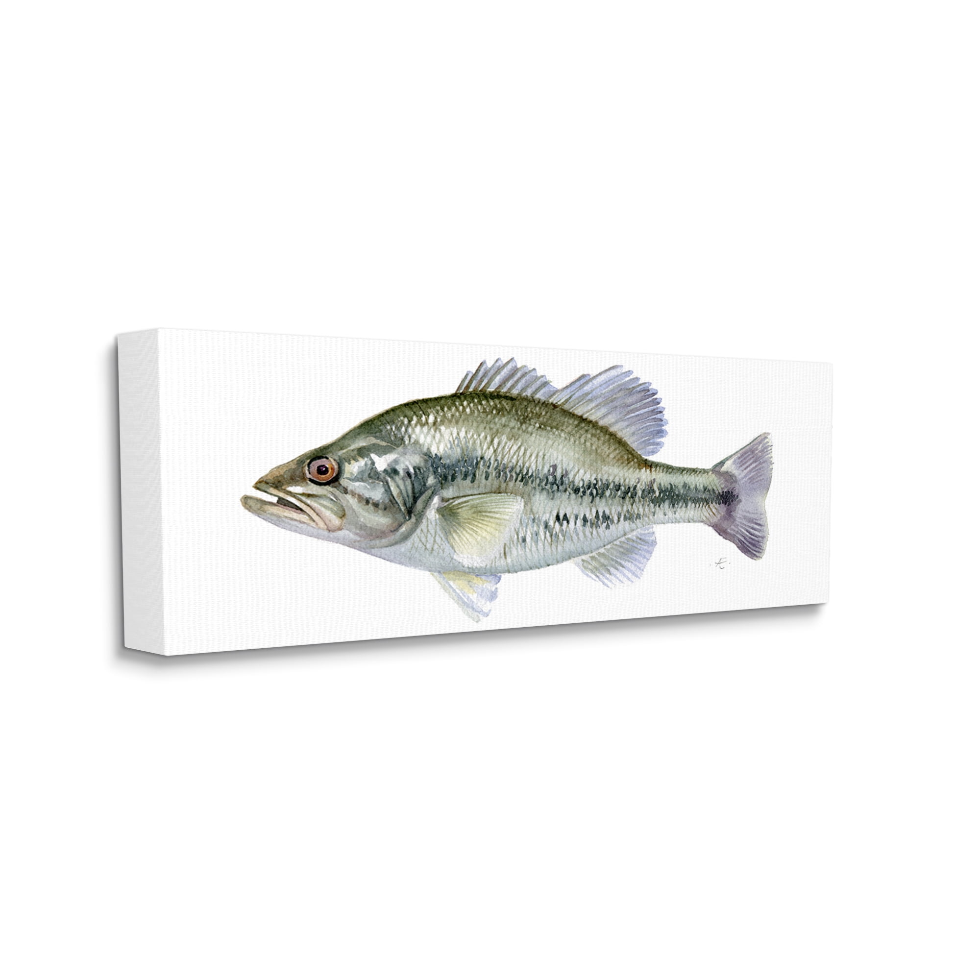 Stupell Industries Green Blue Bass Fish Modern Watercolor over White Animals & Insects Painting Gallery Wrapped Canvas Print Wall Art, 13 x 30