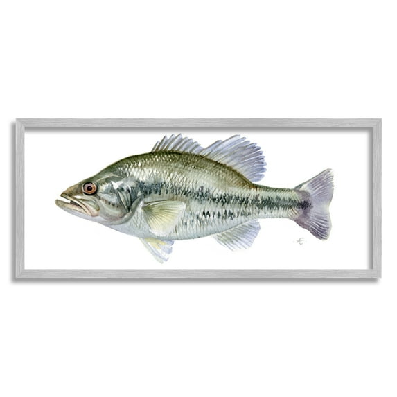 Stupell Industries Green Blue Bass Fish Modern Watercolor over White Animals & Insects Painting Gray Framed Art Print Wall Art, 13 x 30