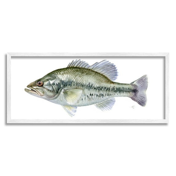 Stupell Industries Green Blue Bass Fish Modern Watercolor over White Animals & Insects Painting White Framed Art Print Wall Art, 10 x 24