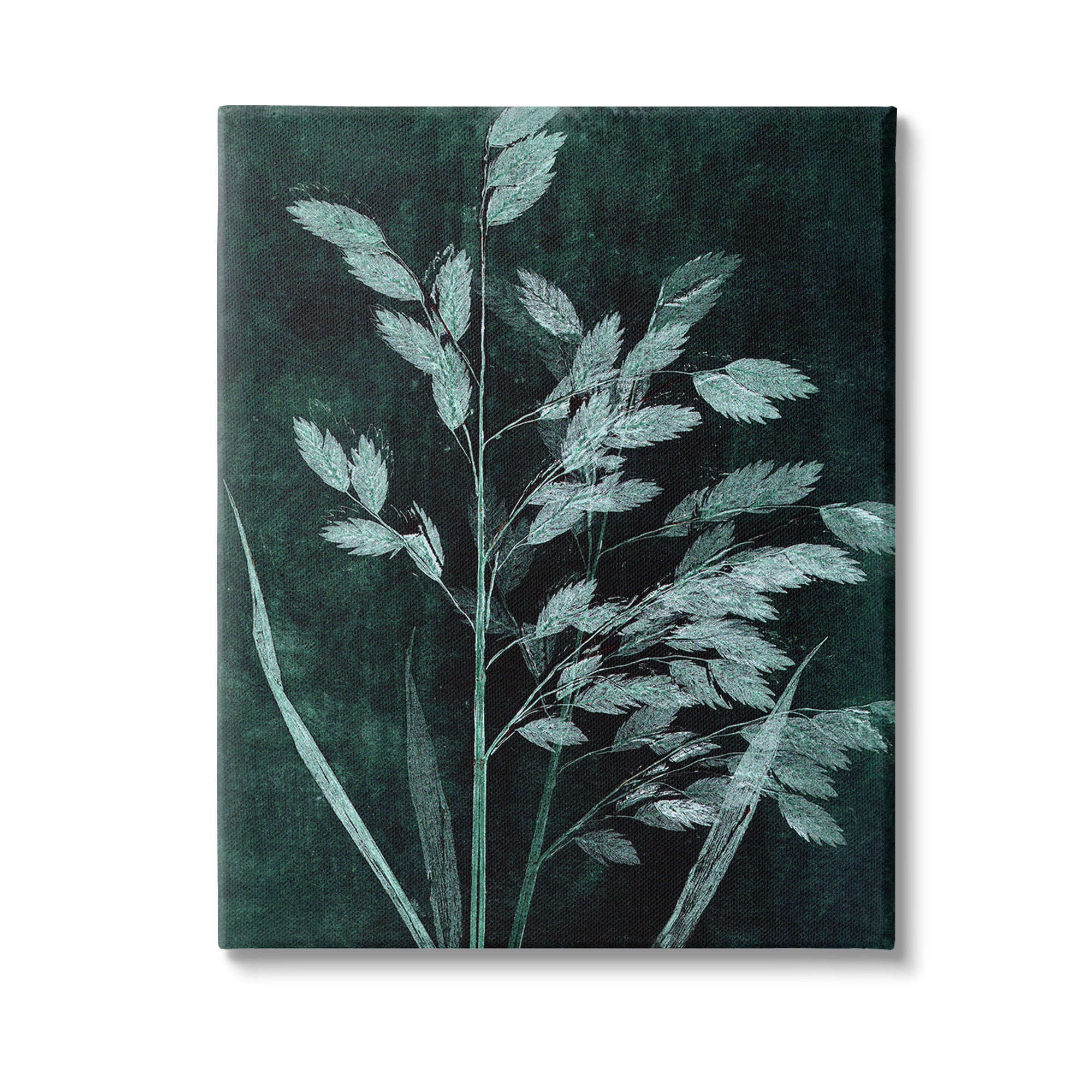 Stupell Industries Green Botanical Imprints Botanical & Floral Painting Gallery Wrapped Canvas Art Print Wall Art, 16 x 20
