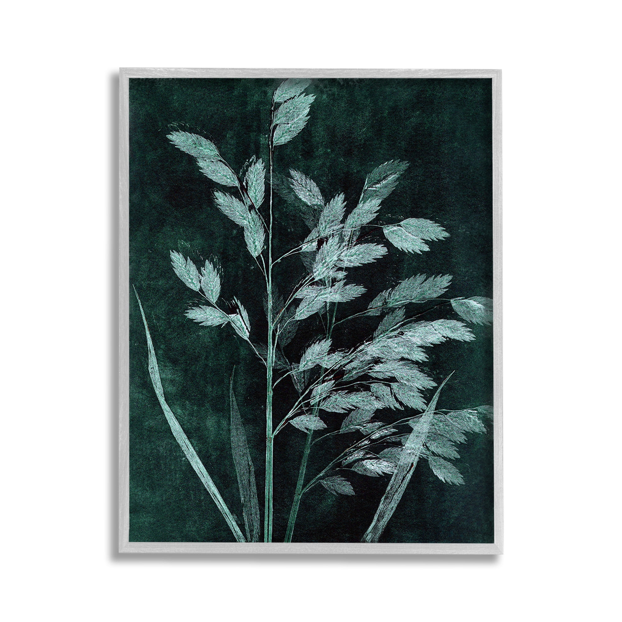 Stupell Industries Green Botanical Imprints Botanical & Floral Painting Gray Framed Art Print Wall Art, 11 x 14