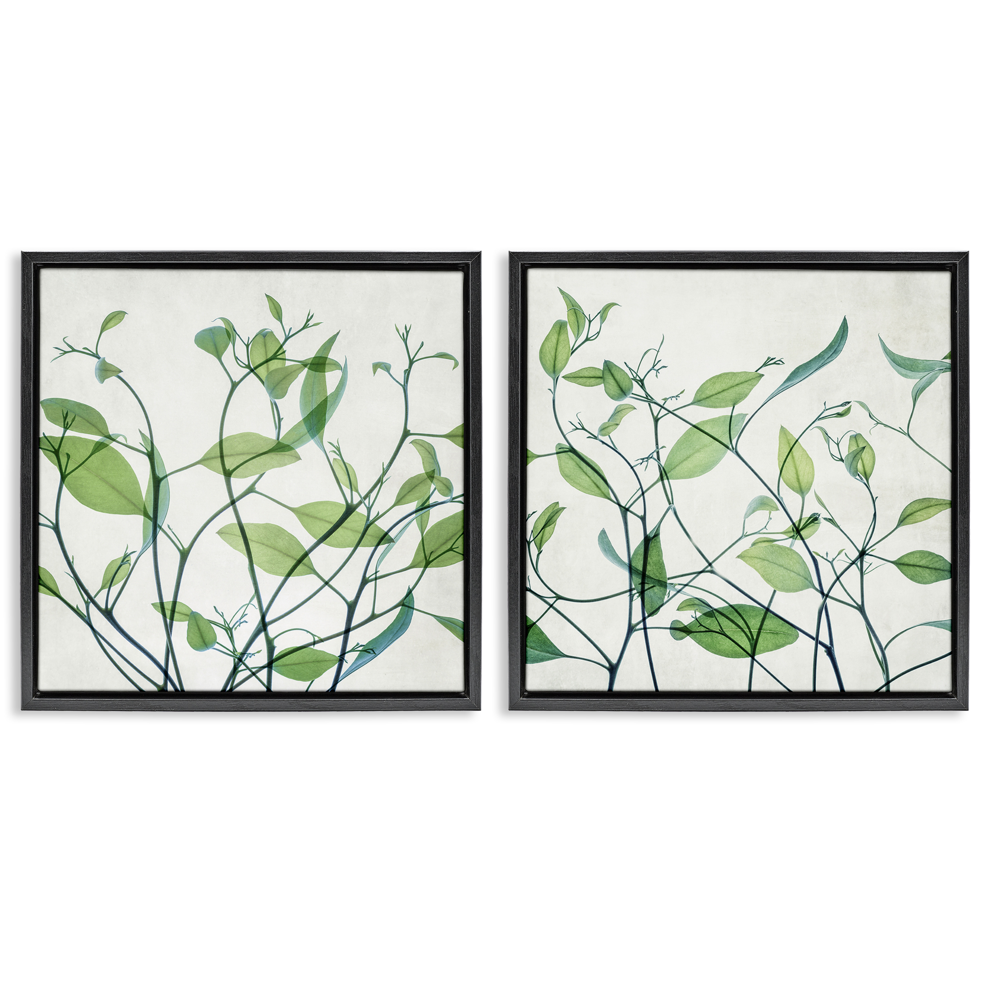 Stupell Industries Green Botanical Leaves Xray Plants & Flowers Painting Black Floater Framed Canvas Art Print Wall Art, 25 x 25, Set of 2