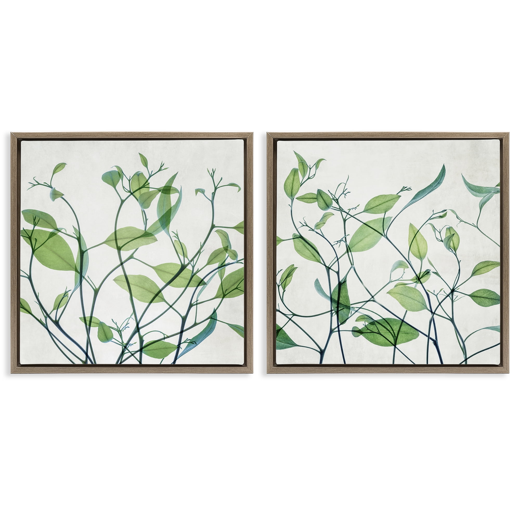 Stupell Industries Green Botanical Leaves Xray Plants & Flowers Painting Brown Floater Framed Canvas Art Print Wall Art, 25 x 25, Set of 2
