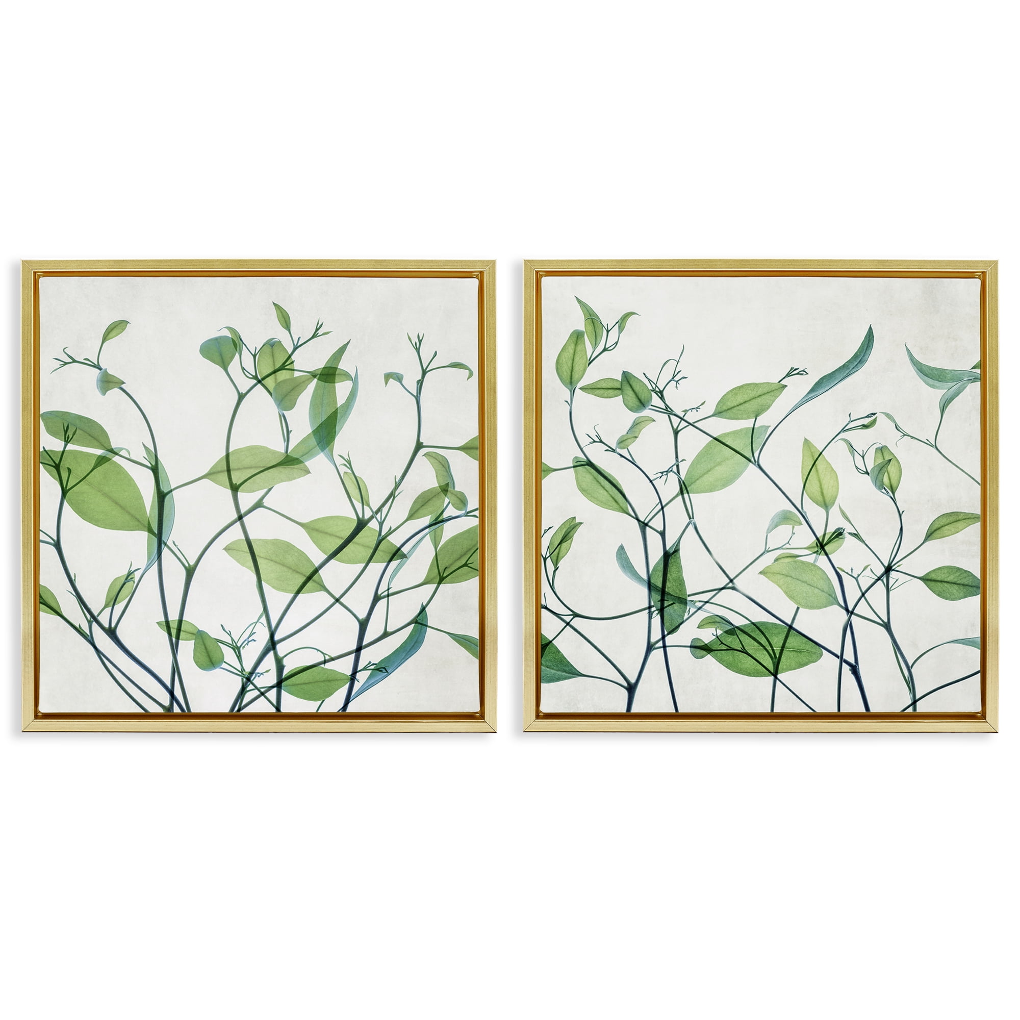 Stupell Industries Green Botanical Leaves Xray Plants & Flowers Painting Gold Floater Framed Canvas Art Print Wall Art, 18 x 18, Set of 2
