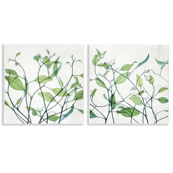 Stupell Industries Green Botanical Leaves Xray Plants & Flowers Painting Unframed Art Print Wall Art, 12 x 12, Set of 2