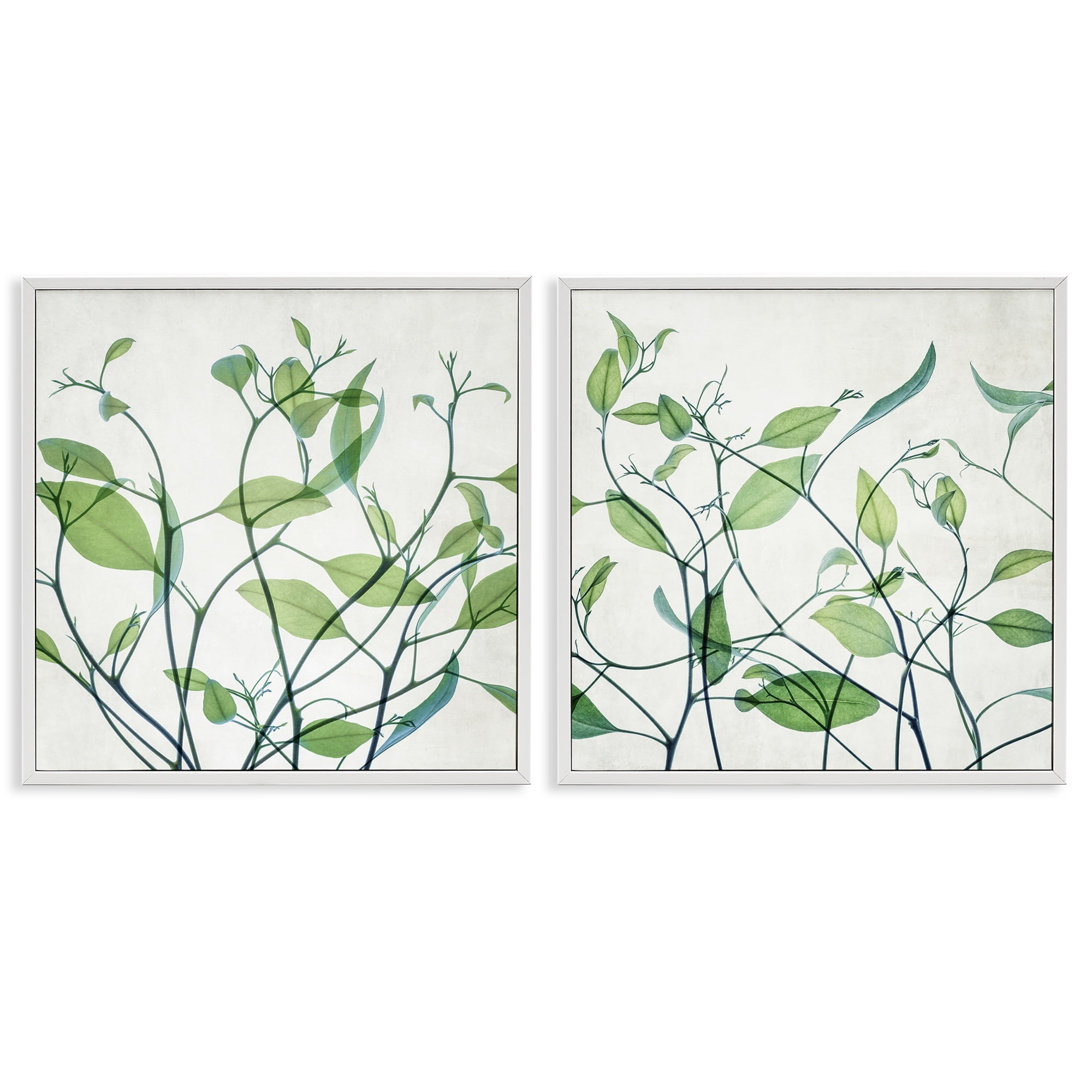 Stupell Industries Green Botanical Leaves Xray Plants & Flowers Painting White Framed Art Print Wall Art, 12 x 12, Set of 2