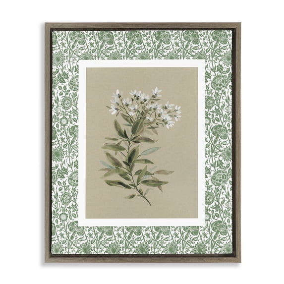 Stupell Industries French Country Green Botanical Pattern Brown Floating Frame Canvas Art, 17 x 21, by Carol Robinson