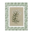 thumbnail image 1 of Stupell Industries French Country Green Botanical Pattern Canvas Art, 16 x 20, by Carol Robinson, 1 of 8